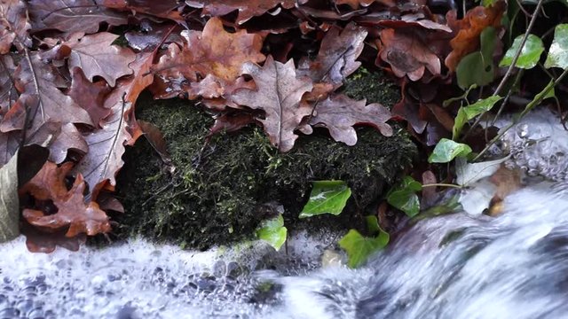 Blick auf fließendes Wasser und Blätter im Herbst