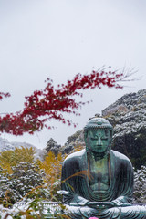 The Great Buddha in Kamakura.It's snowing.The foreground is a maple tree.Located in Kamakura, Kanagawa Prefecture Japan.