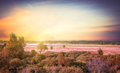 Fototapeta premium Beautiful evening meadow