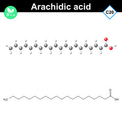 Arachidic fatty acid atomic structure