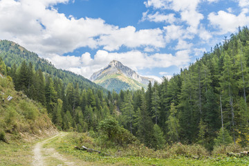 Fototapeta na wymiar Riedingtal mit Blick auf Berg und Tal