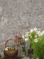 flower and concrete background
