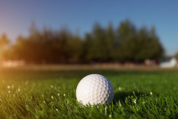 Close up the golf ball in grass field