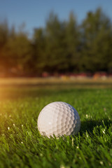 Close up the golf ball in grass field