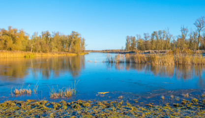 Shore of a frozen lake in sunlight in autumn