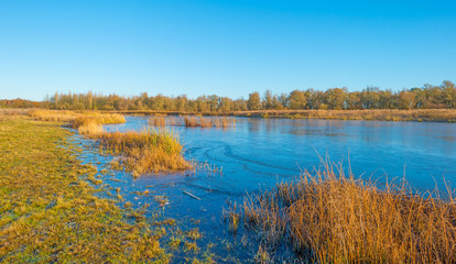 Shore of a frozen lake in sunlight in autumn