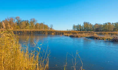 Shore of a frozen lake in sunlight in autumn