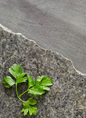 parsley leaves on a dark polished stone with an irregular fracture. Against the background of ebony...