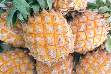 Pineapple / Heap of fresh ripe pineapple, top view.