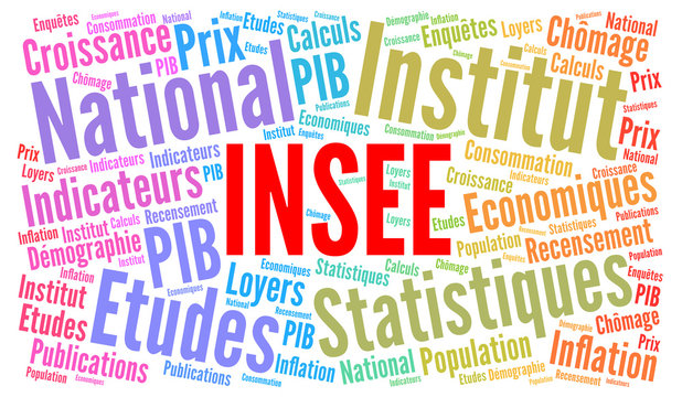 INSEE nuage de mots