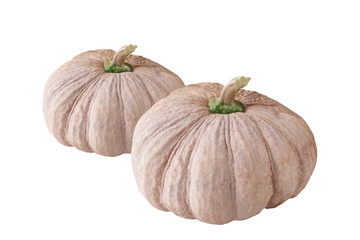 Pumpkins isolated on white background