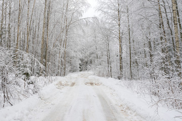 Fototapeta premium Vanishing snow-covered dirt road through winter forest. Novgorodsky region, Russia 