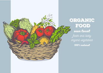 Fresh vegetables in basket vector illustration. Natural farm food. Drawn in ink