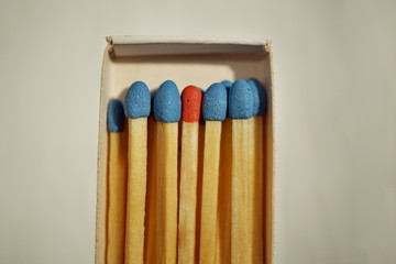 Macro detail of a box of matches (matchbox) full of matches with blue top and one different with a red top as a symbol of difference, differentness and dissimilarity 