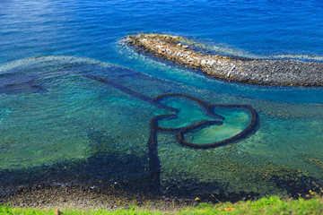 The  clover  shape of shallow reef  in Penghu © Chen