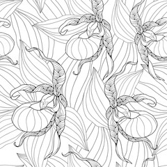 Vector seamless pattern with outline Cypripedium calceolus or Lady's-slipper orchid and leaves on the white background. Elegance floral background in contour style for summer design and coloring book.