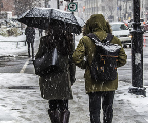 companions under snow