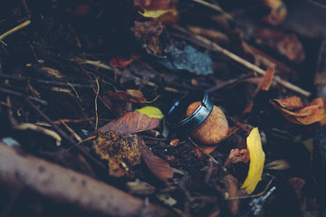 Found My Wedding Ring