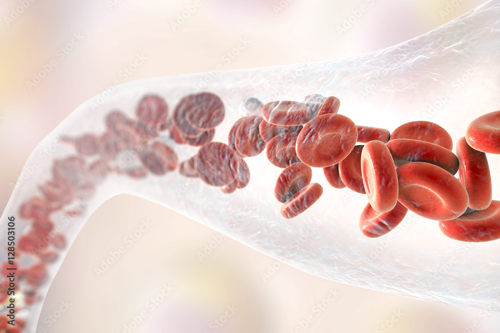 Poster Blood vessel with flowing blood cells, 3D illustration