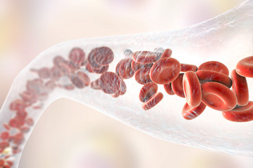 Blood vessel with flowing blood cells, 3D illustration - obrazy, fototapety, plakaty