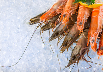Fresh seafood on crushed ice.