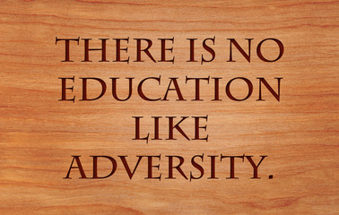 There is no education like adversity - quote on wooden red oak background