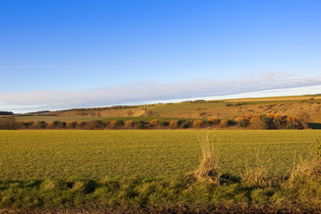 yorkshire wolds autumn colors