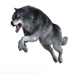 3d odpłacają się gniewny skokowy wilk podczas jego polowania, odizolowywający na białym tle - 128505116