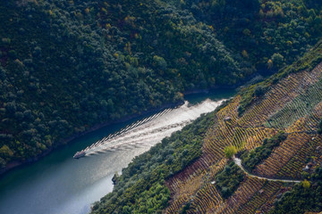 Tourist boat on its route through the Ribeira Sacra