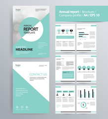 page layout for company profile, annual report, brochure, and flyer layout template. with info graphic element. and vector A4 size for editable