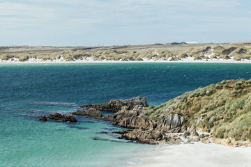 sandy beach of Gypsy Cove in the Falkland Islands, South America
