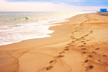 beach footprints in sand