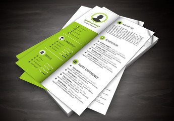 Resume Layout with Green Shaded Left Sidebar