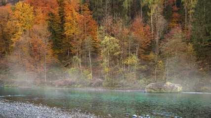 Herbstlandschaft am Bach mit Morgennebel