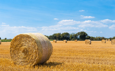 Strohballen Panorama.