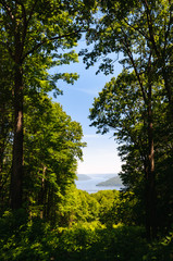 Obraz premium Allegheny National Forest Overlook