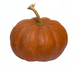 pumkin