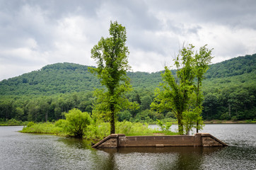 Fototapeta premium Allegheny National Forest