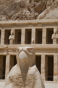 Stone Horus statue at Temple of Queen Hatshepsut. Deir el Bahri, Luxor, Egypt