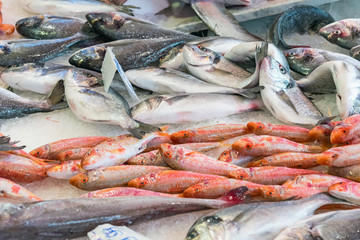 Fresh fish at the Vucciria market in Palermo, Sicily