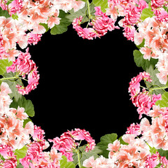 Fototapeta na wymiar Beautiful floral background of pink and orange pelargonium 