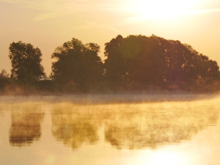 Morgenstimmung an der Elbe - Biosphärenreservat Niedersächsische Elbtalaue