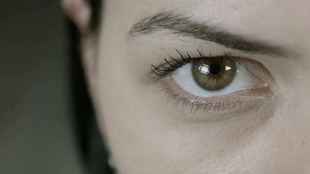Close-Up Beautiful Female Eye