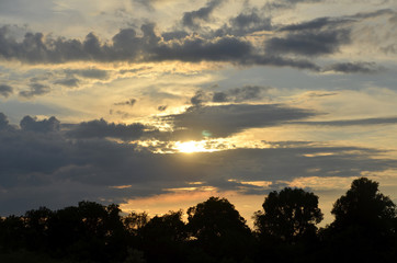 Horizontal photo of Sunset above the forest