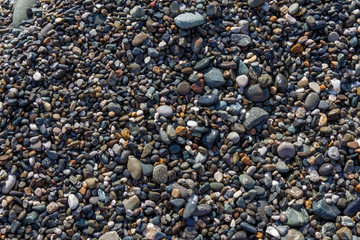 Texture of various size and shape different colored pebble stones
