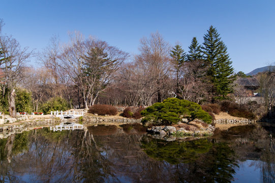 Pond in Oriental Park