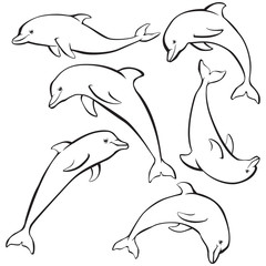 Obraz premium Sketch of dolphins set