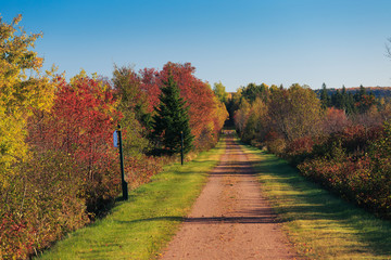 Fall foliage along the Trans Canada Trail or known locally as the Confederation Trail in rural...