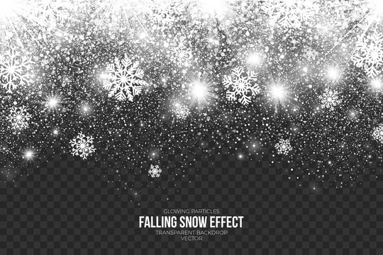 Falling Snow Effect on Transparent Background Vector Illustration. Abstract bright white shimmer glowing scatter round particles, lights and snowflakes