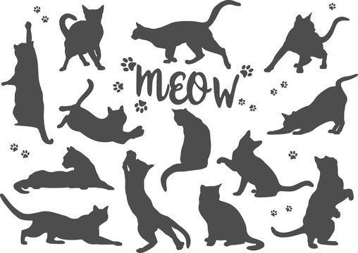 Set of silhouettes black cats on white background. Vector illustration